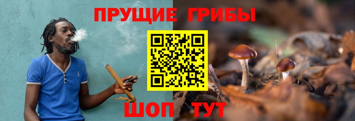 Ачхой-Мартан  Псилоцибиновые грибы ЛСД  Псилоцибиновые грибы MAGIC MUSHROOMS  Вход с VPN 